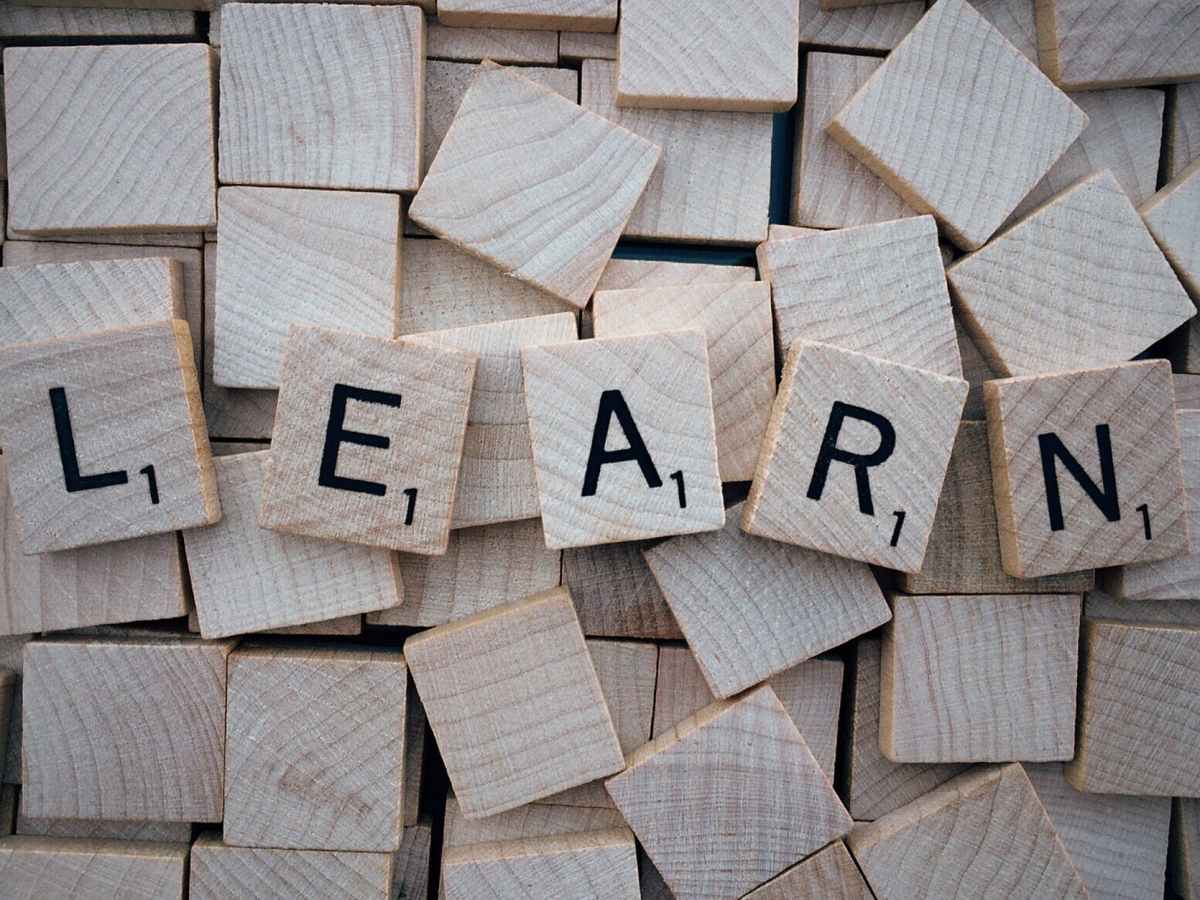 Diversity of Learners